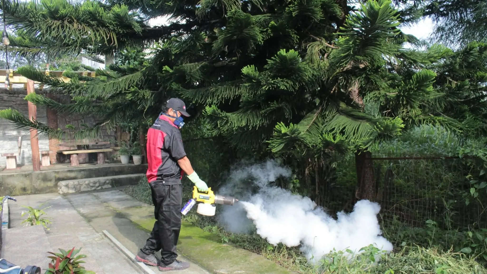 Fumigation Service Background