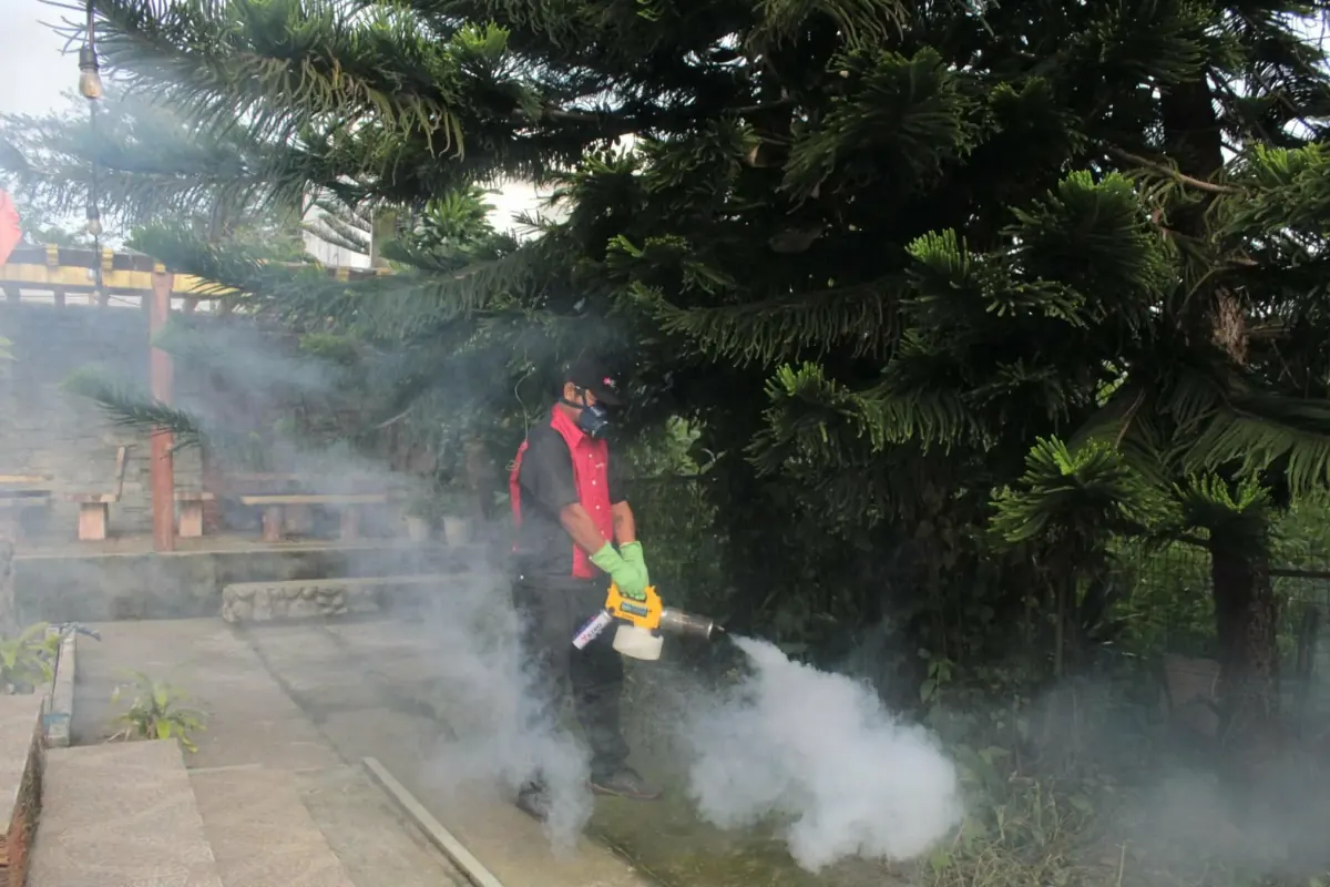 Outdoor Thermal Fogging