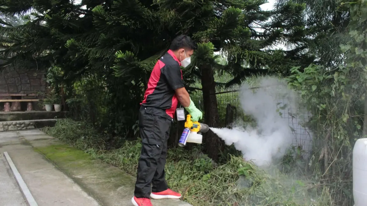 Outdoor Thermal Fogging