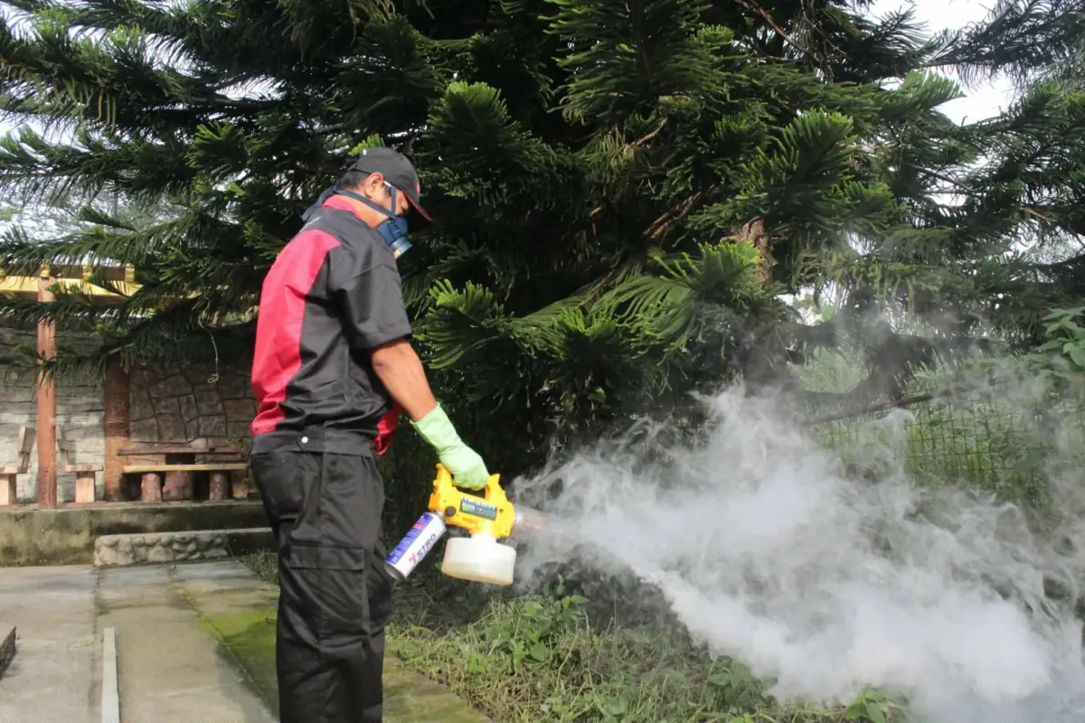 Outdoor Thermal Fogging