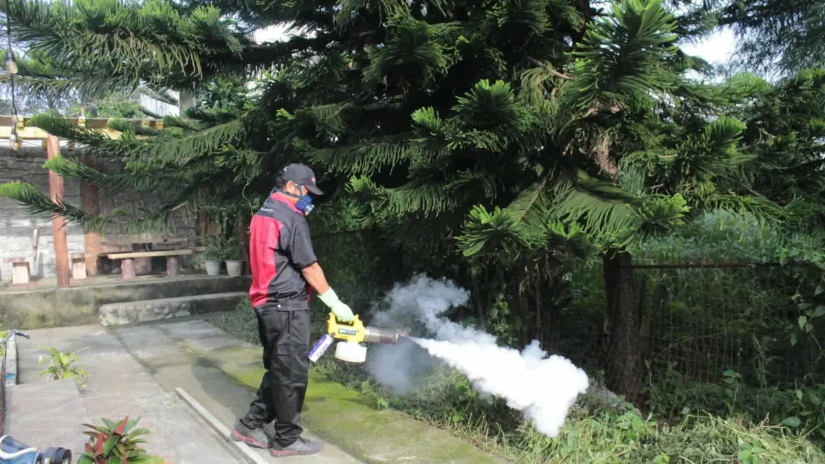 Outdoor Thermal Fogging