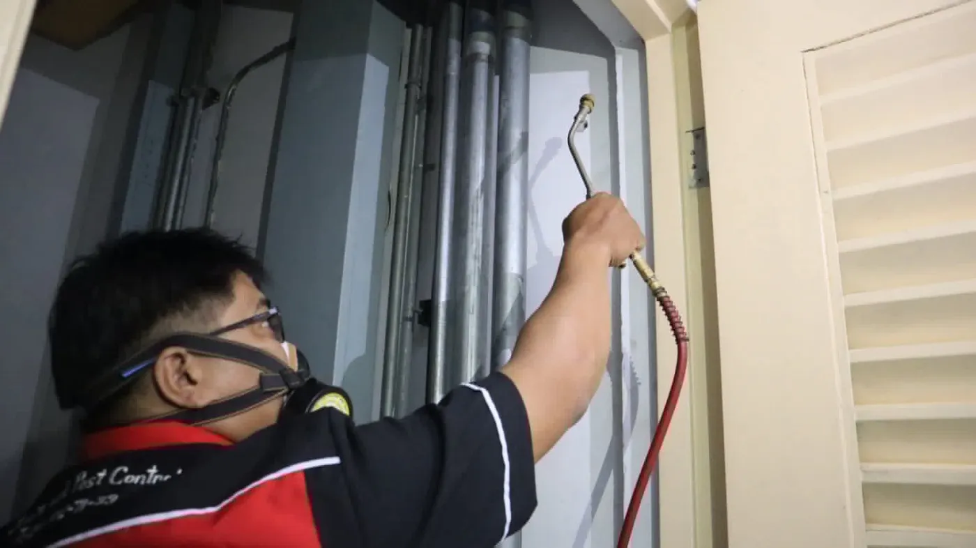 Targeted Residual Spraying Pest Control Specialist Treatment 1