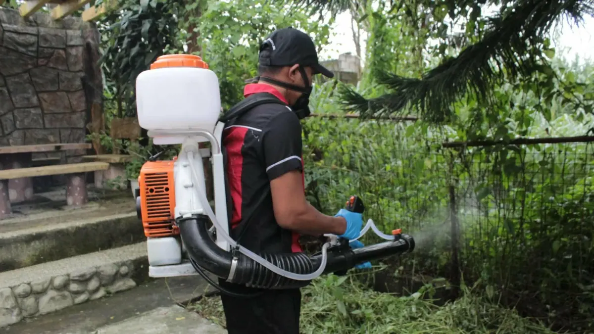 Outdoor Mistblowing