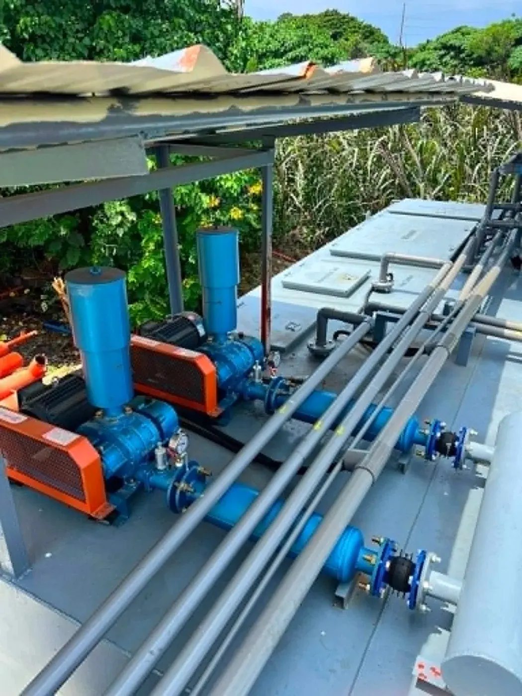 Grease Trap Bio-Dosing