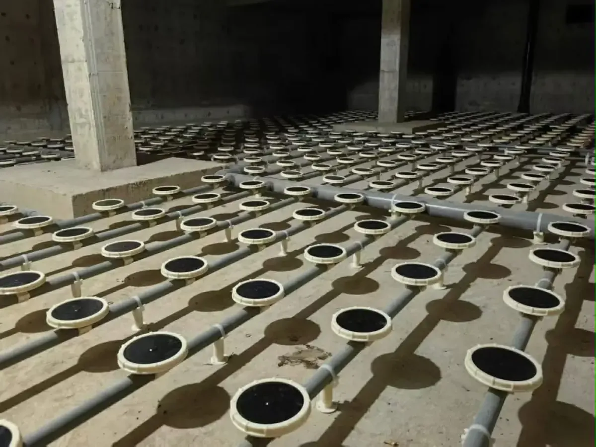 Septic Neutralization